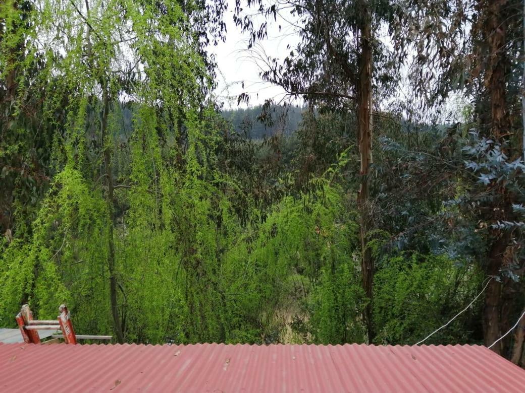 Отель El Fogon De Rio Claro Экстерьер фото